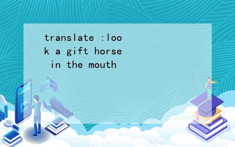 translate :look a gift horse in the mouth