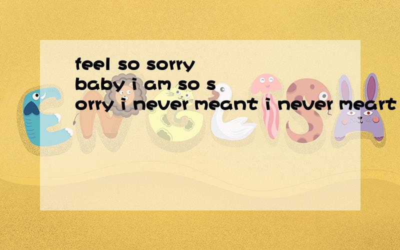feel so sorry baby i am so sorry i never meant i never meart to hurt you 用英文该怎么翻译呢?
