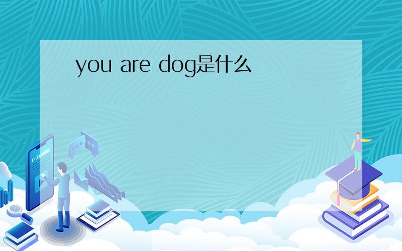 you are dog是什么
