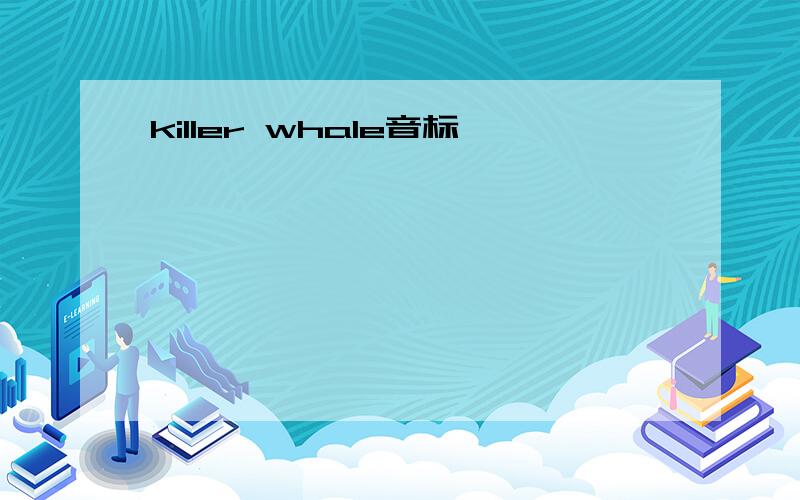 killer whale音标