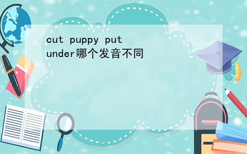cut puppy put under哪个发音不同