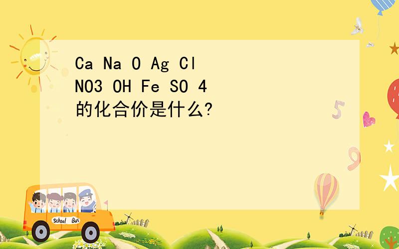 Ca Na O Ag Cl NO3 OH Fe SO 4的化合价是什么?
