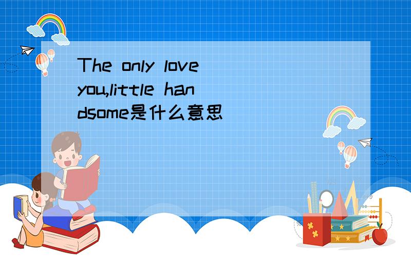 The only love you,little handsome是什么意思