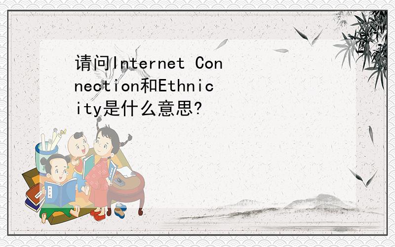 请问Internet Connection和Ethnicity是什么意思?