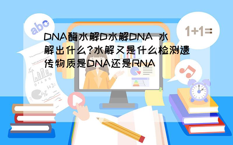 DNA酶水解D水解DNA 水解出什么?水解又是什么检测遗传物质是DNA还是RNA
